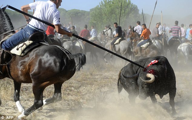 International Movement Against Bullfights