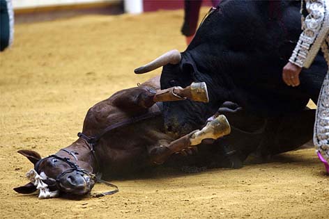Turismo turbina corrida de touros e gera mortes na Espanha - 08/09/2015 -  UOL Nossa