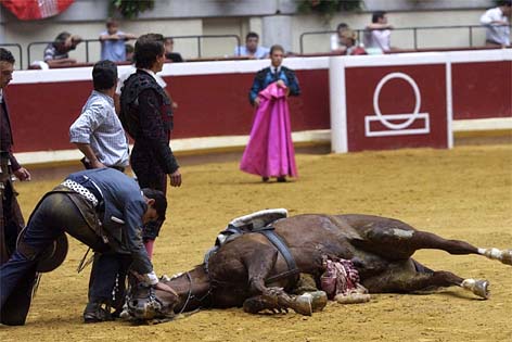 Turismo turbina corrida de touros e gera mortes na Espanha - 08/09/2015 -  UOL Nossa